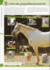 Verbeter de conditie van uw paard - J. Bell_8